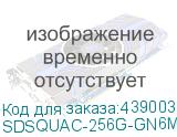 SDSQUAC-256G-GN6MN