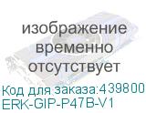 ERK-GIP-P47B-V1