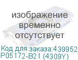 P05172-B21 (4309Y)