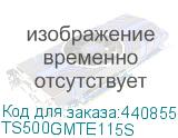 TS500GMTE115S