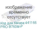 PRO B760M-P