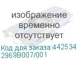 2969B007/001