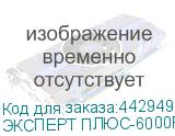 ЭКСПЕРТ ПЛЮС-6000Р