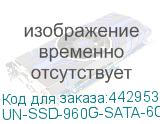UN-SSD-960G-SATA-6G-EV-SFF-i