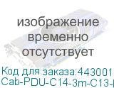 Cab-PDU-C14-3m-C13-RUS
