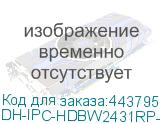 DH-IPC-HDBW2431RP-ZS-S2