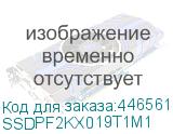 SSDPF2KX019T1M1