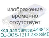 DL-DGS-1210-28XS/ME/B2A