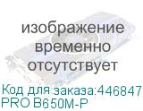 PRO B650M-P