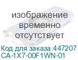 CA-1X7-00F1WN-01