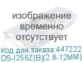 DS-I256Z(B)(2.8-12MM)