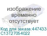 C13T27054022
