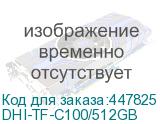 DHI-TF-C100/512GB