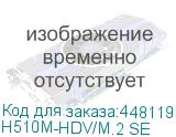 H510M-HDV/M.2 SE