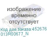 013R00677_N