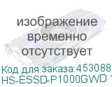 HS-ESSD-P1000GWD 1000G GREY