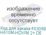 H610M-HDV/M.2+ D5