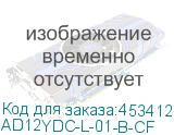 AD12YDC-L-01-B-CF