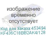 KF436C18BB2AK4/128