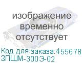 ЗПШМ-300Э-02