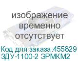 ЗДУ-1100-2 ЭРМКМ2