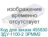 ЗДУ-1100-2 ЭРММ2