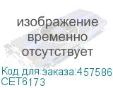 CET6173