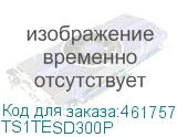 TS1TESD300P