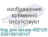S39199100107