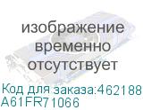 A61FR71066