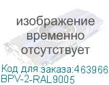 BPV-2-RAL9005