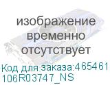 106R03747_NS