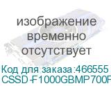 CSSD-F1000GBMP700PRO