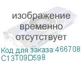 C13T09D598
