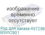 BSW2901