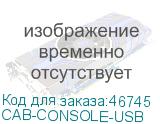 CAB-CONSOLE-USB