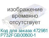 P732FGB00800-1