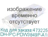 DH-IPC-PDW3849P-A180-E2-AS-PV-0280B