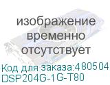 DSP204G-1G-T80