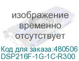 DSP216F-1G-1C-R300