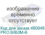 PRO B650M-B