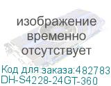 DH-S4228-24GT-360