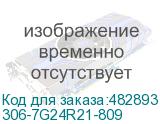 306-7G24R21-809