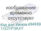 1102YP3AXV