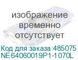 NE64060019P1-1070L