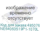 NE64060S19P1-1070L