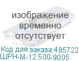 ШРН-М-12.500-9005