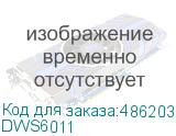 DWS6011