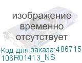 106R01413_NS