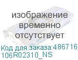 106R02310_NS
